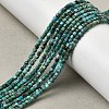 Natural HuBei Turquoise Beads Strands G-C009-B12-B-1