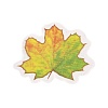 Autumn Leaf Scrapbooking Tool Kits DIY-P084-D02-3