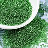 MIYUKI Round Rocailles Beads X-SEED-G007-RR0015-1