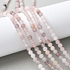 Natural Violet Strawberry Quartz Beads Strands X-G-P530-B02-01-1