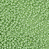 11/0 Czech Opaque Glass Seed Beads SEED-N004-003B-34-4