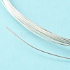 Dead Soft 925 Sterling Silver Wire STER-NH002-A-2