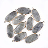 Natural Labradorite Pendants G-T112-23A-1