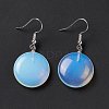 Gemstone Flat Round Dangle Earrings EJEW-D188-03P-3