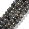 Natural Labradorite Beads Strands G-S333-6mm-035-2