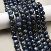 Natural Kyanite/Cyanite/Disthene Beads Strands G-G272-A01-10mm-1