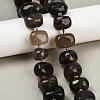 Natural Smoky Quartz Beads Strands G-F796-B07-01-1
