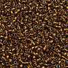 TOHO Round Seed Beads SEED-JPTR11-1853-2