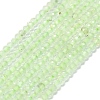 Natural Prehnite Beads Strands G-G106-A26-01-1