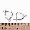 Rhodium Plated 925 Sterling Silver Leverback Earrings X-STER-K168-003P-3