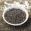 MIYUKI Round Rocailles Beads SEED-X0055-RR0343-2