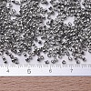 MIYUKI Delica Beads X-SEED-J020-DB0038-4