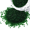 15/0 Transparent Czech Glass Seed Beads SEED-N004-004-23-1