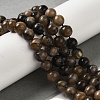 Natural Chiastolite Beads Strands G-Q161-A03-03-2