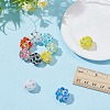 10Pcs 10 Colors Handmade Lampwork Beads LAMP-AR0001-43-3