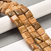 Natural Dolomite Beads Strands G-F765-C02-01-2