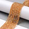 Electroplate Transparent Glass Beads Strands GLAA-H021-01A-FR06-3