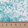 MIYUKI Round Rocailles Beads X-SEED-G009-RR0647-4