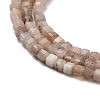 Natural Peach Moonstone Beads Strands G-B093-C01-01-3