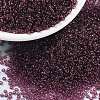 MIYUKI Round Rocailles Beads X-SEED-G009-RR0153-1