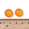 Autumn Theme Transparent Acrylic Beads X-PL712Y-5-4