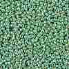 TOHO Round Seed Beads X-SEED-TR11-PF0570-2