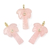 Natural Rose Quartz Carved Pendants X-G-C282-04B-1