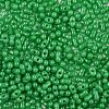 Baking Paint Glass Seed Beads SEED-L011-09A-02-3