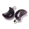 Natural Amethyst Pendants G-F820-02L-17-3