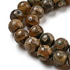 Tibetan Style dZi Beads Strands G-P526-D03-01-4