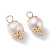 Natural Cultured Freshwater Pearl Beads Links Connectors PALLOY-JF01260-2