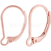 50Pcs 304 Stainless Steel Leverback Earring Findings STAS-BBC0005-30-1