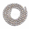 Electroplate Glass Beads Strands EGLA-T008-15A-2