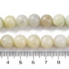 Natural New Jade Beads Strands G-F591-16-10MM-6
