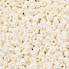 TOHO 6/0 Round Beads X-SEED-TR06-0122-3
