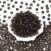FGB Transparent Glass Seed Beads SEED-N013-01C-18-3