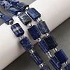 Natural Lapis Lazuli Beads Strands G-Z087-C01-1