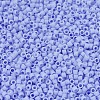 MIYUKI Delica Beads SEED-MY11-DB1587-3