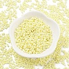Baking Paint Glass Seed Beads X1-SEED-A033-05E-2