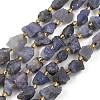 Raw Rough Natural Tanzanite Beads Strands G-D101-A12-2