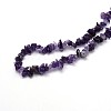 Natural Amethyst Beads Strands G-O049-C-23-3