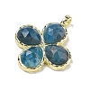 Natural Apatite Faceted Pendants G-A308-01G-08-2