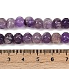 Natural Amethyst Beads Strands G-Z080-B04-8x6mm-5