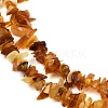 Natural Amber Chip Beads Strands X-G-E271-81-01-3