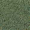 TOHO Round Seed Beads SEED-TR11-0380-2