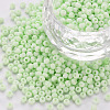 8/0 Opaque Glass Seed Beads SEED-S048-N-009-1