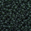 MIYUKI Round Rocailles Beads X-SEED-G007-RR0156F-3
