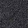 MIYUKI Round Rocailles Beads X-SEED-G007-RR2447-3
