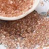 Glass Seed Beads SEED-K009-04A-03-1