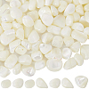 100Pcs Natural Trochid Shell/Trochus Shell Beads BSHE-SC0001-16C-1